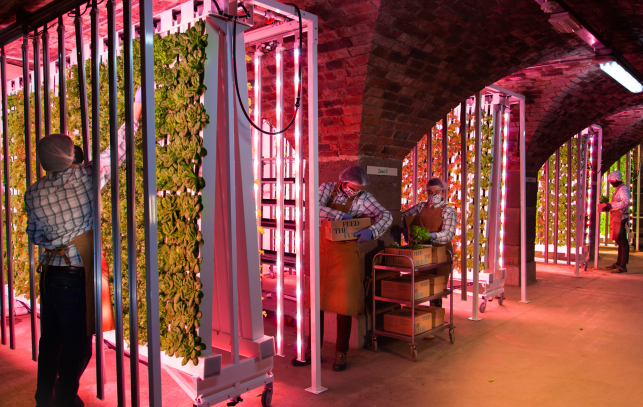 Farm Urban