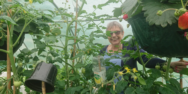 Image of a woman in the community garden